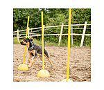 Sostegni agility