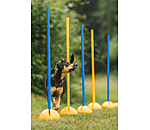 Sostegni agility