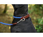 Collare Coloured Rope