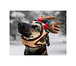 Copricapo natalizio Rudolph per cani