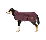 Cappotto invernale per cani Beaver Creek, 400 gr