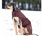 Cappotto invernale per cani Beaver Creek, 400 gr