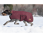 Cappotto invernale per cani Beaver Creek, 400 gr