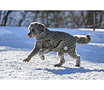 Cappotto per cani Archie con pelliccia sintetica, 160 g
