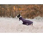 Cappotto per cani Archie con pelliccia, 160 g