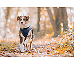 Cappotto per cani Archie con pelliccia, 160 g