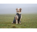 Cappotto per cani Archie con pelliccia sintetica, 160 g