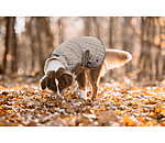 Cappotto per cani Archie con pelliccia, 160 g