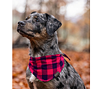 Bandana Henry