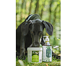 Polvere per le articolazioni per cani Vitality