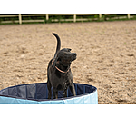 Piscina per cani Kaya