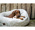 Leone peluche per cani Lio