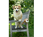 Leone peluche per cani Lio