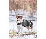 Softshell Walker per cani Athlete, 0 g