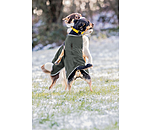 Softshell Walker per cani Athlete, 0 g