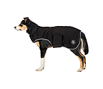 Softshell Walker per cani Athlete, 0 g