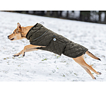 Cappotto trapuntato per cani Lightweight Cliff con pile, 200 g