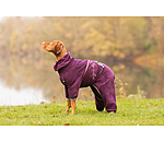 Accappatoio per cani Allover Dry