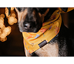 Bandana reversibile per cani Emil