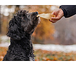 Orecchie di bovino per cani