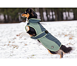 Cappotto invernale per cani Glacier Bay con interno in pile, 100 gr