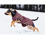 Cappotto invernale per cani Candy Cane, 120 g