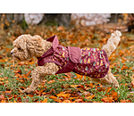 Impermeabile per cani Pumpkin Spice, 0 g