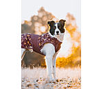 Impermeabile per cani Pumpkin Spice, 0 g