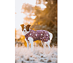 Impermeabile per cani Pumpkin Spice, 0 g