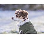 Cappotto reversibile in softshell per cani Yoko, 80 g