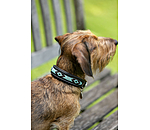 Collare in cuoio con perline Nashville