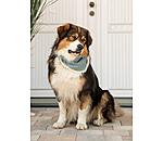 Bandana per cani Tribal Love