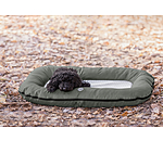 Cuccia outdoor per cani Alverstone