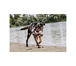 Scimmia peluche per cani Alfie