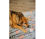 Giocattolo in corda per cani Jack