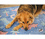 Coperta per cani Glow in the Dark