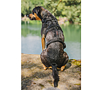 Pettorina antipanico per cani Irmi
