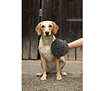 Guanto da grooming per cani Cosma