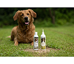 Shampoo per cani Sensitive Care
