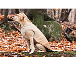 Cappotto reversibile in softshell per cani Willa, 80 g