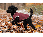 Cappotto reversibile in softshell per cani Willa, 80 g