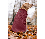 Cappotto reversibile in softshell per cani Willa, 80 g