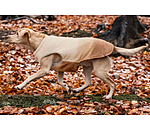 Cappotto reversibile in softshell per cani Willa, 80 g