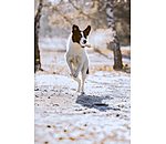 Giocattolo con squeaker per cani Unicorn