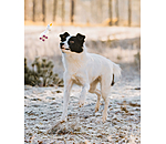 Giocattolo con squeaker per cani Unicorn