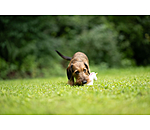 Giocattolo con squeaker per cani Unicorn