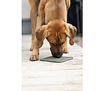 Tappetino da leccare per cani Classic Line