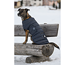 Cappotto LED trapuntato per cani Arlo, 300 g