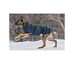 Cappotto LED trapuntato per cani Arlo, 300 g