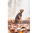 Maglione per cani Maisie